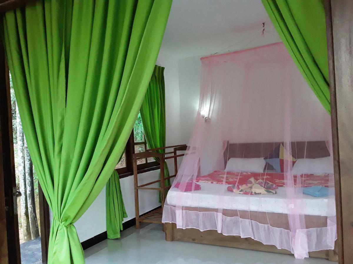 Nine Arch Araliya Homestay Ella Exterior photo